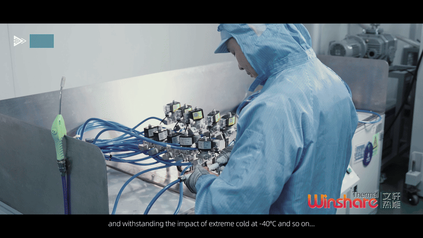 Pulse Flow Test